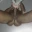naxy01