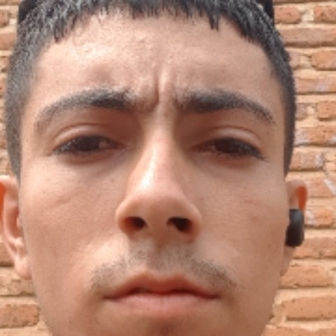Huesos 