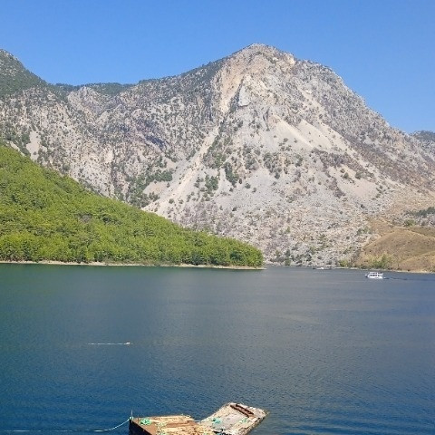 Hesta1