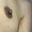 Sexelman