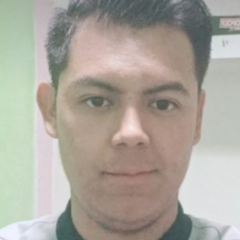 Elpalomo_mx99