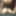 Anal_Angi_Rose