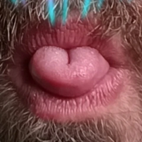 super_falkon