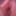 Sluttywife