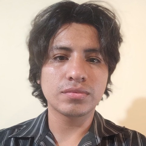 Elbergaslocas