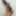 TinySizedFeet
