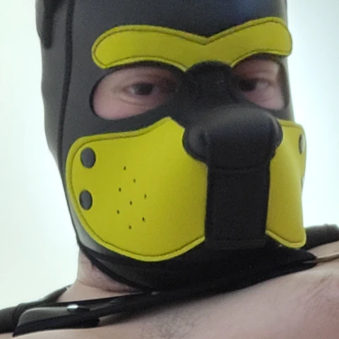Theleakypup