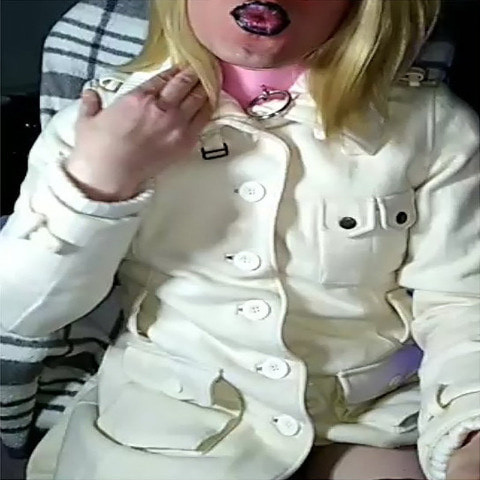 Chipie Tranny