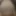 MassiveHungFoxy