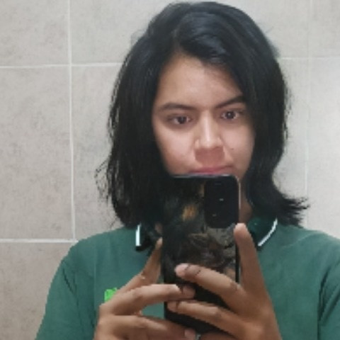 Elpalomo_mx99