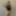 shellysecret