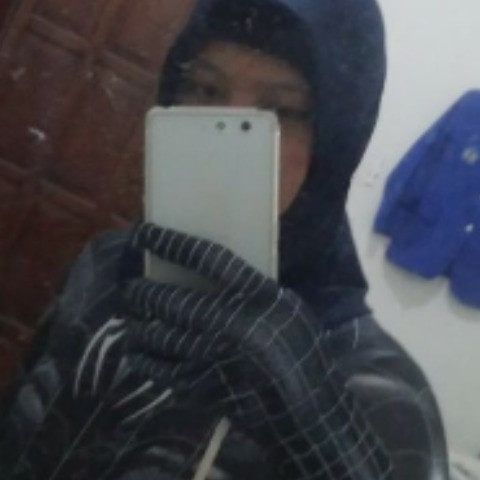 Dly guy