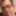 Der Stachel vom Willy