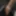 Bannyroy