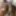 Africancock22
