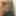 Thomas Hardison