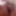 Dikdude