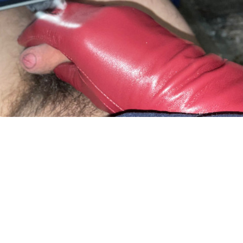 Gloves leather l