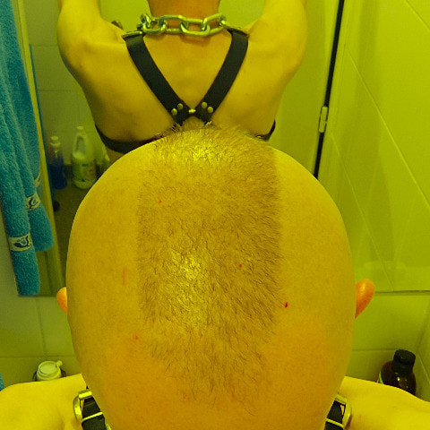 SlaveSkin