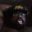 BigDSavage