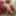 MistressAlex78