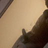 Bigunk
