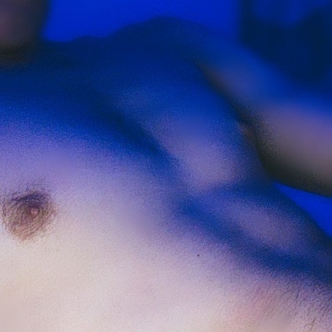 whoisgtz