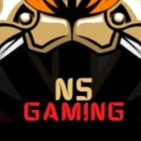Ns gaming01