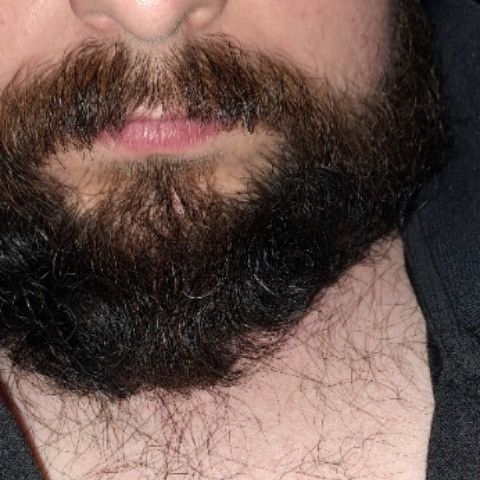 Daniel beard