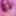 SissyBoy4200