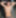 Johnny Rapid