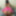Lissy