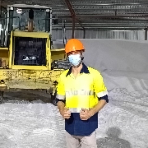 caveiras 