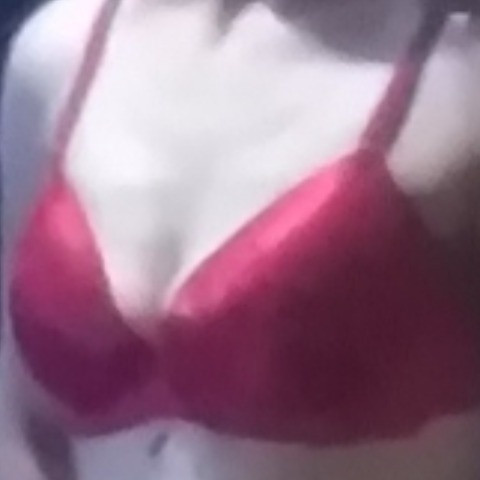 lily503