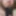 BeardBearHard