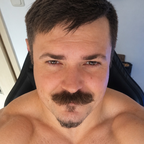 El flollo