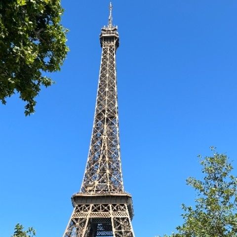 Maruis