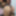 anal_queen_amateur