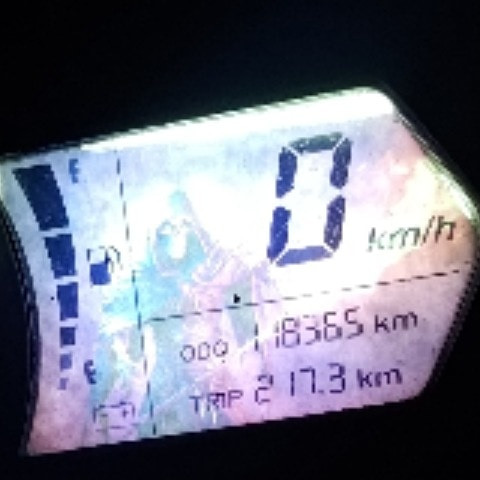 Dagaya4168