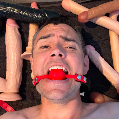 Shane CumDump