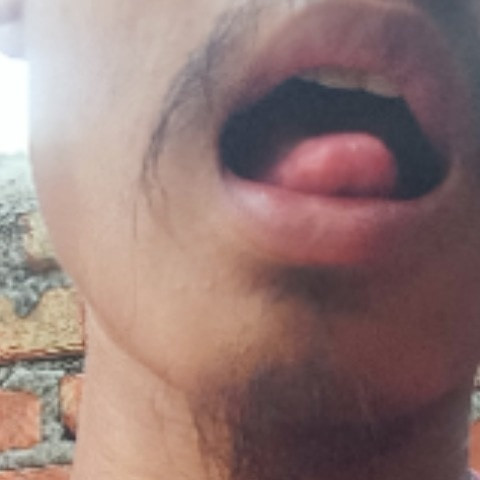 Dwiden bangchiary 