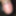 ViralXnxx