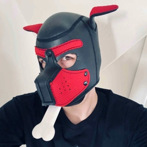 Pup Gala