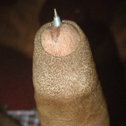 Kamalw 