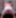 NYCporn69