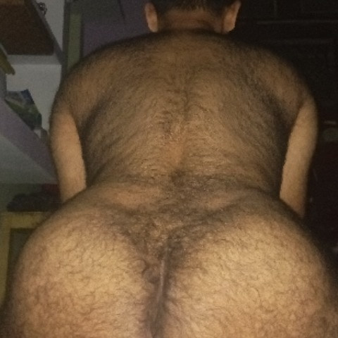 Sansuindia