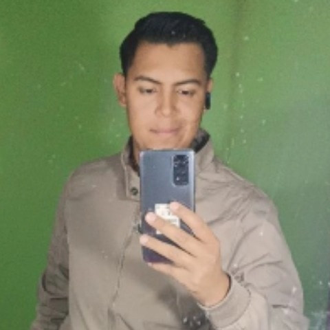 Elpalomo_mx99