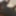 Cool dude