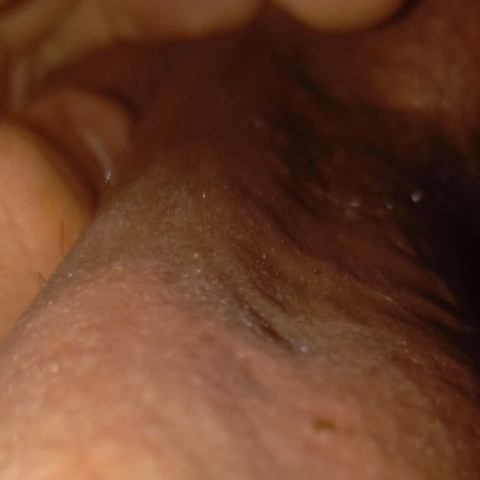 SoloDaddyX