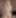 Charlotte Stokely